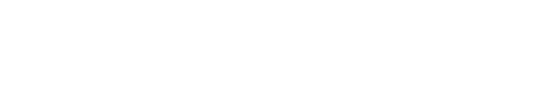 WPmaailma logo valkoinen